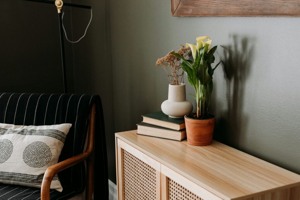Wooden cabinet with indoor plant decor showcasing plywood furniture for modern interiors
